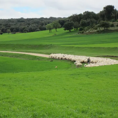 La Casa De La Abuela Petra Solarana