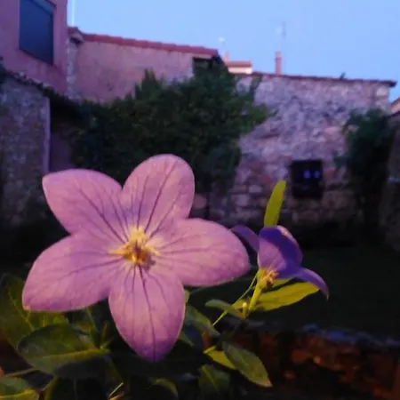 La Casa De La Abuela Petra Solarana
