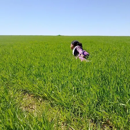 La Casa De La Abuela Petra * Solarana