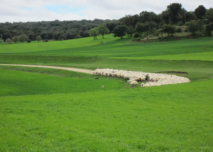 La Casa De La Abuela Petra Solarana