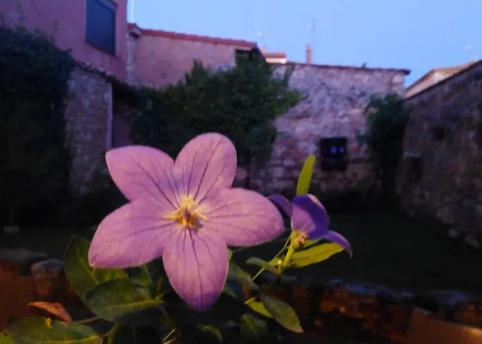 La Casa De La Abuela Petra Solarana