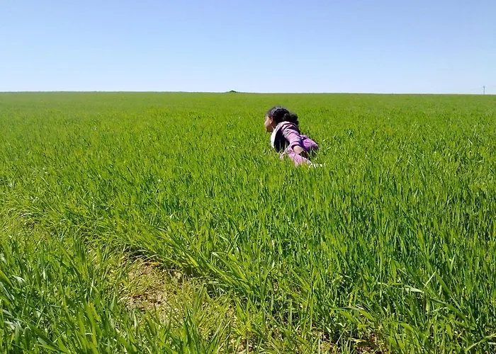 La Casa De La Abuela Petra * Solarana